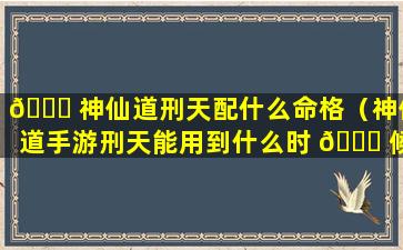 🐋 神仙道刑天配什么命格（神仙道手游刑天能用到什么时 🕊 候）